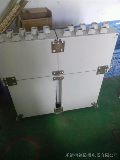 防爆照明配电箱 保障特殊环境照明安全的专业解决方案